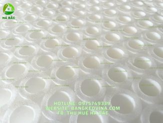 ong-xop-dang-rong-pe-foam