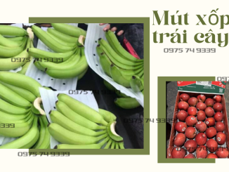 mut-xop-tam-duc-lo-lot-chuoi