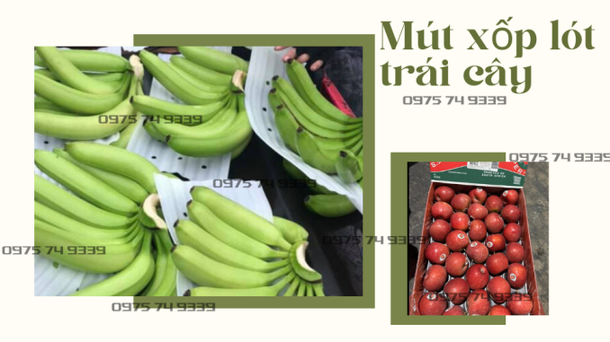 mut-xop-tam-duc-lo-lot-chuoi