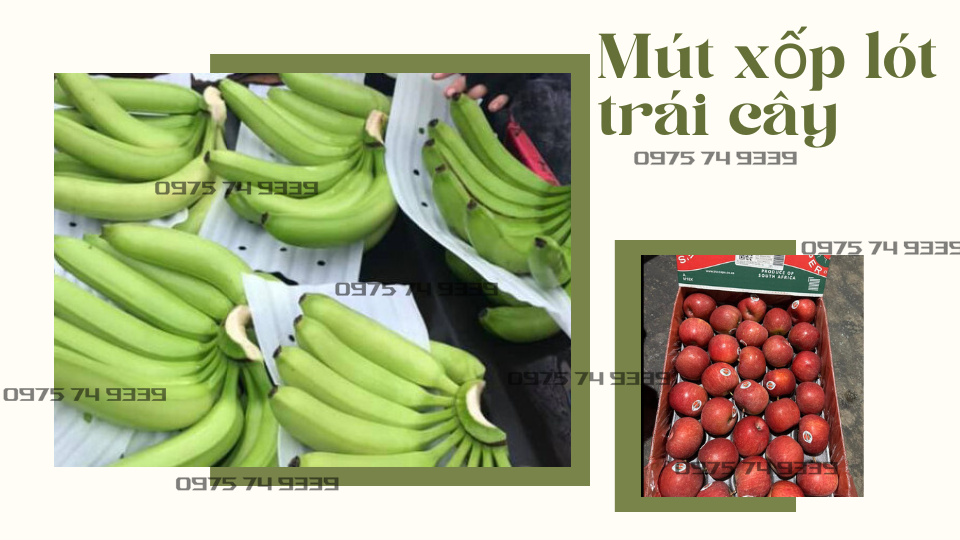 mut-xop-tam-duc-lo-lot-chuoi