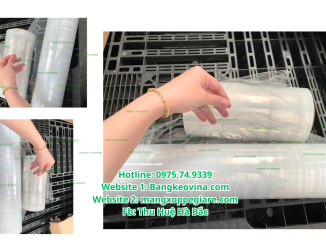 mang-pe-boc-hang-tphcm