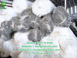 mut-xop-ong-tron-rong-tai-thuan-an