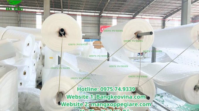 tam-foam-lot-trai-cay-duc-lo