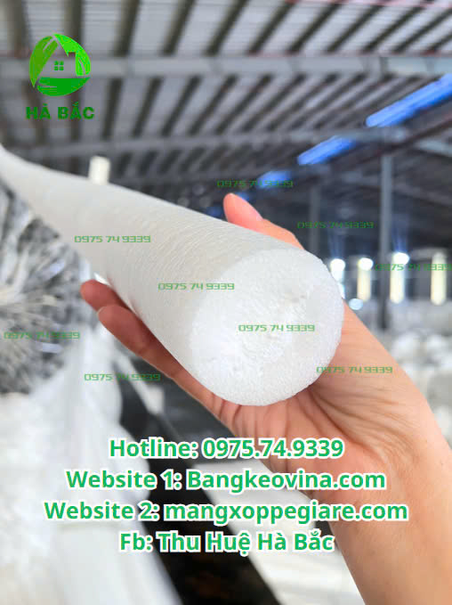 ong-foam-dac-cam-hoa-gia-re