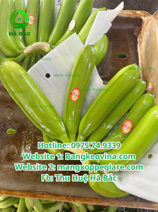 xop-boc-chuoi-gia-re-tai-xuong