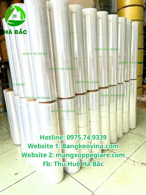 mang-co-boc-hang-50cm-gia-tot-2025