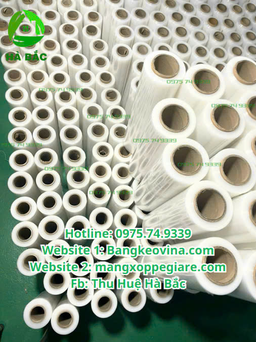 mang-co-boc-hang-50cm-gia-tot-2025