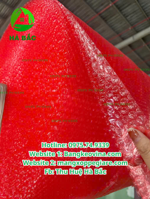 xop-hoi-chong-tinh-dien-than-thien-moi-truong-2025