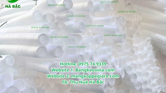 ong-xop-pe-foam-rong-gia-re-2025