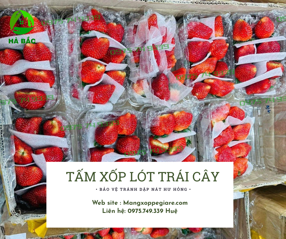 xop-lot-trai-cay-pe-foam-gia-re