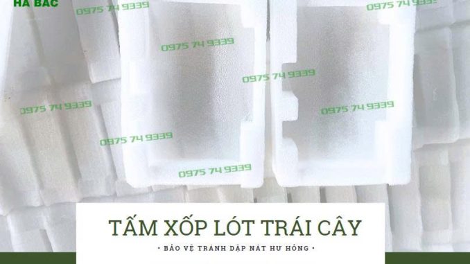 khay-xop-pe-foam-dinh-hinh-gia-re