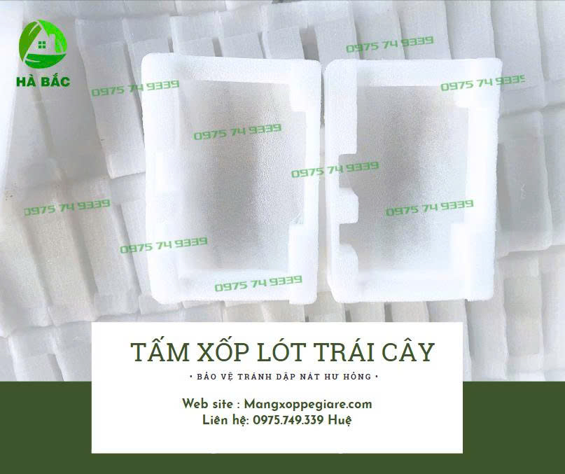 khay-xop-pe-foam-dinh-hinh-gia-re
