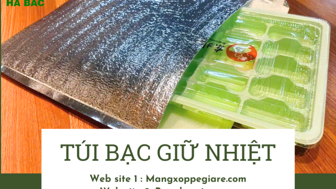 tui-giu-nhiet-dung-thuc-pham-dong-lanh