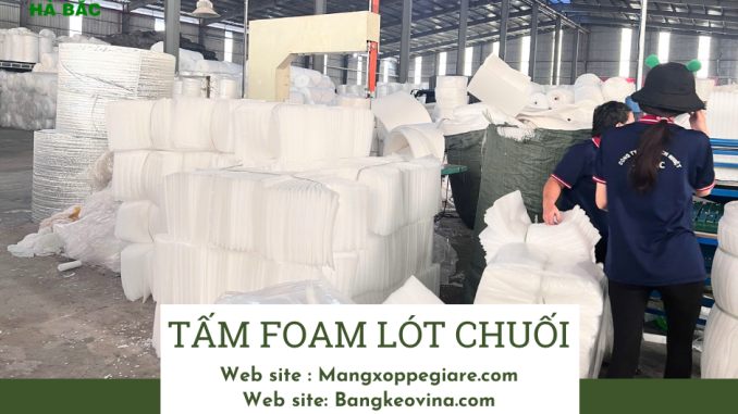 tam-foam-duc-lo-lot-chuoi-tai-dinh-quan