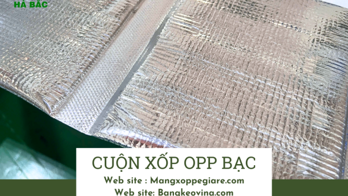 tui-bac-giu-nhiet-co-dan-1-lop-keo-tai-thu-duc