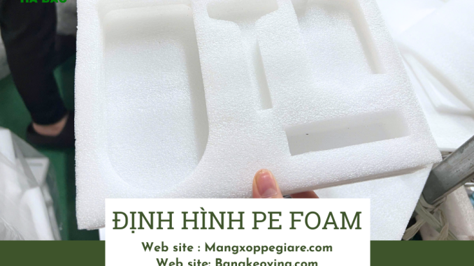 khay-dinh-hinh-dung-hop-qua-gia-re-2025