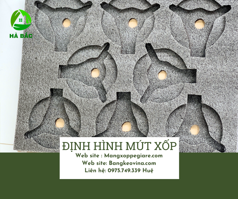 khay-xop-dinh-hinh-phu-nhung-2026