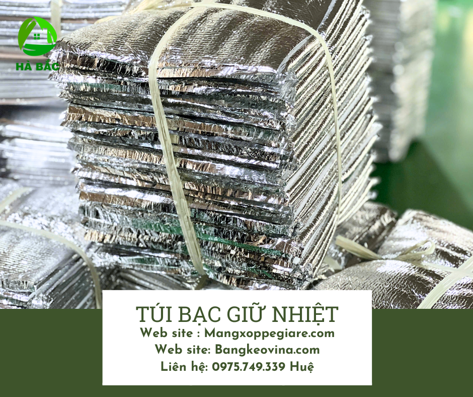 tui-bac-giu-nhiet-dung-banh-tai-quan-1