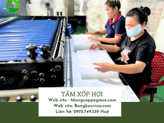 tam-xop-hoi-boc-hang-xuat-khau
