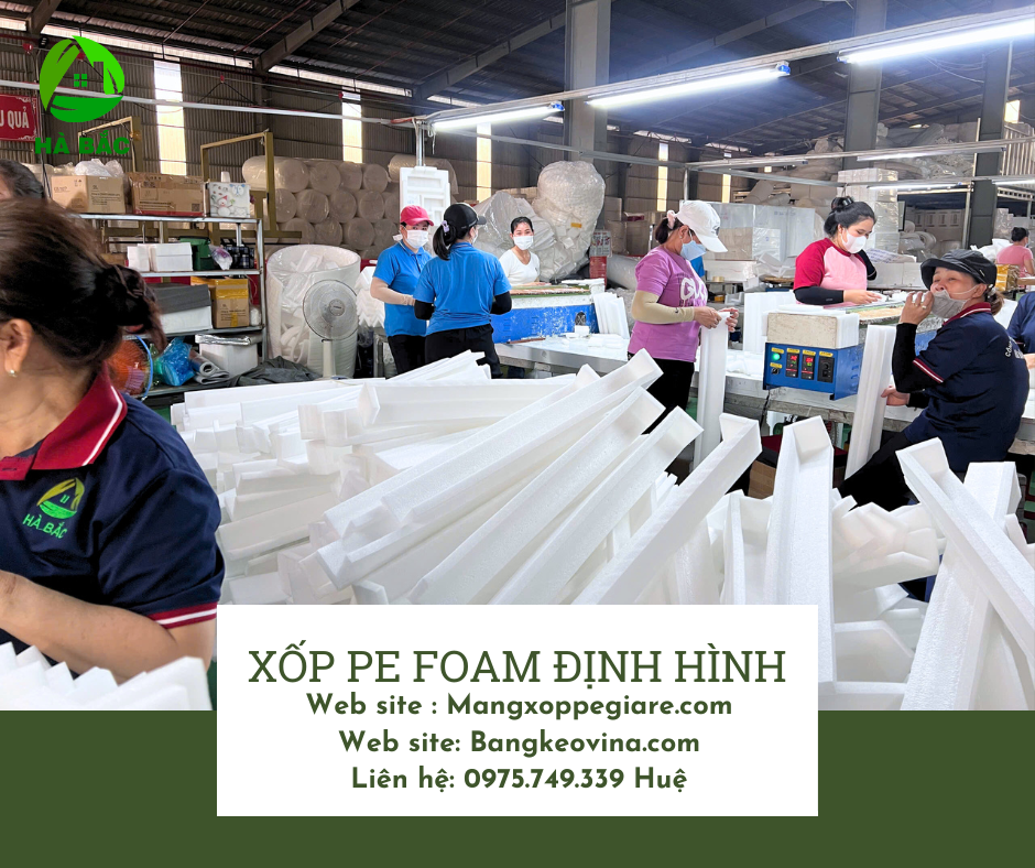 nha-may-san-xuat-mut-xop-dinh-hinh-2025