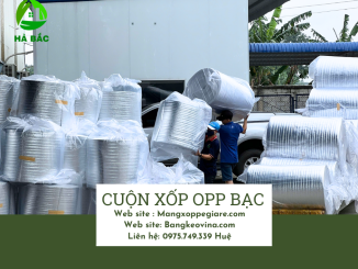 xop-bac-cach-nhiet-20-mm-gia-re-tai-tan-uyen