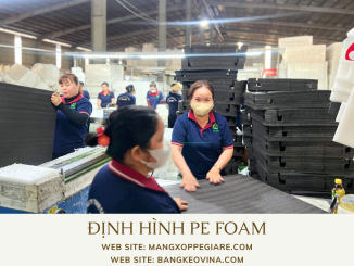 san-xuat-mut-xop-pe-foam-dinh-hinh-2026