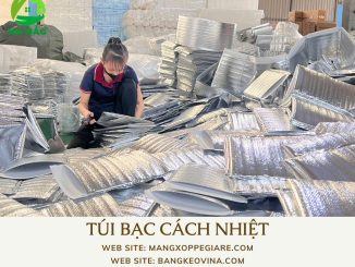 tui-giu-nhiet-giao-hang-thuc-pham-tuoi-song