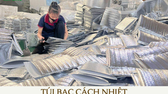 tui-giu-nhiet-giao-hang-thuc-pham-tuoi-song