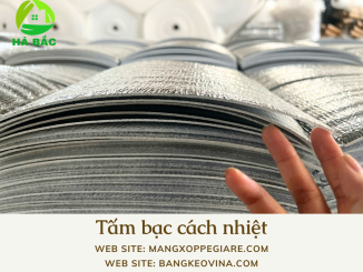 tam-cach-nhiet-1-mat-bac-gia-si-tai-tp-hcm