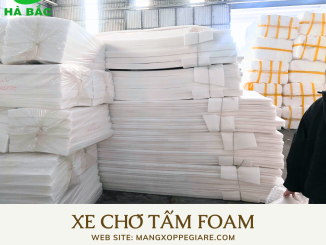 tam-pe-foam-day-cam-hoa-tai-bac-giang-2026