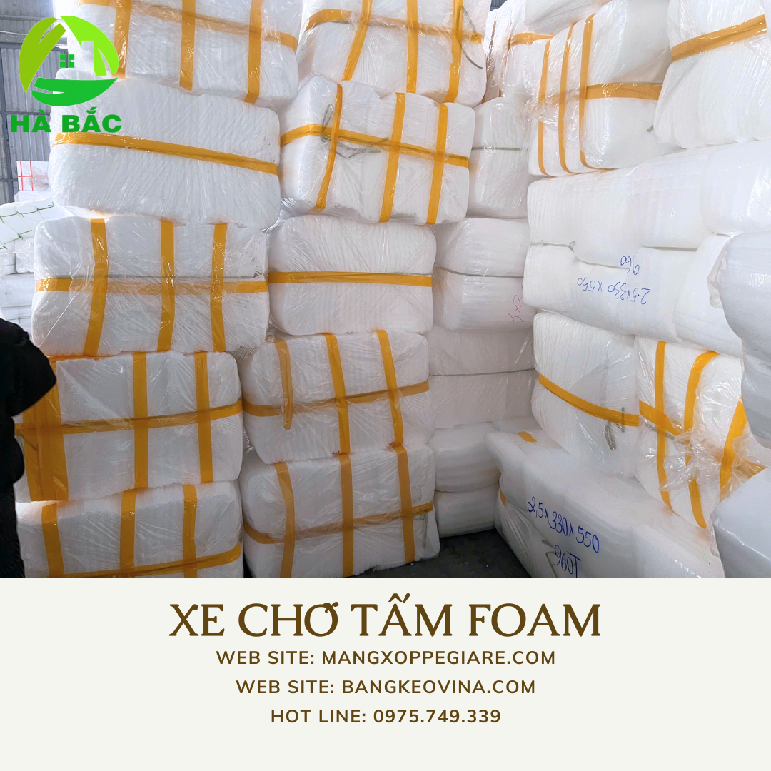 tam-pe-foam-day-cam-hoa-tai-bac-giang-2026
