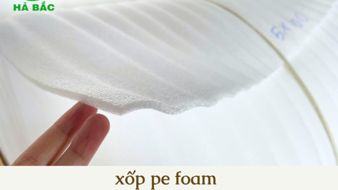 nha-may-san-xuat-foam-pe-5mm-tai-hung-yen