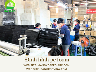 mut-xop-dinh-hinh-pe-foam-den-tai-thuan-an