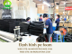 mut-xop-dinh-hinh-pe-foam-den-tai-thuan-an