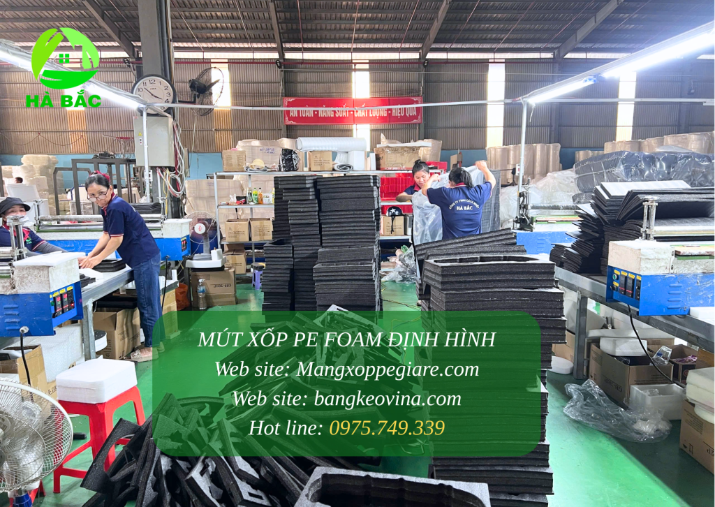 noi-dat-foam-dinh-hinh-thuan-thanh-bac-ninh-cho-doanh-nghiep-va-shop