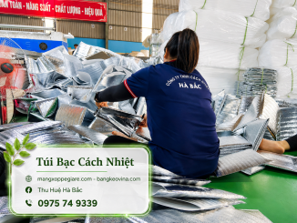 túi bạc đóng gói hàng miền Trung