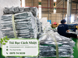 túi bạc đóng gói hàng miền Bắc