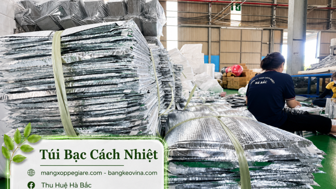 túi bạc đóng gói hàng miền Bắc