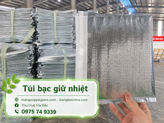 túi bạc đóng gói hàng miền Nam