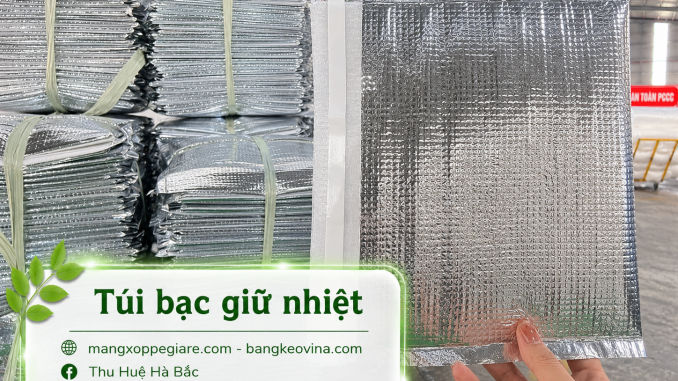 túi bạc đóng gói hàng miền Nam