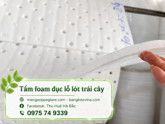 Tấm xốp pe foam đục lỗ 10mm giá rẻ 2026