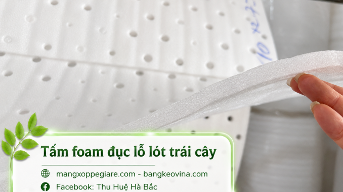 Tấm xốp pe foam đục lỗ 10mm giá rẻ 2026