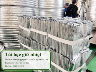 túi giữ nhiệt giao hàng Hà Nội