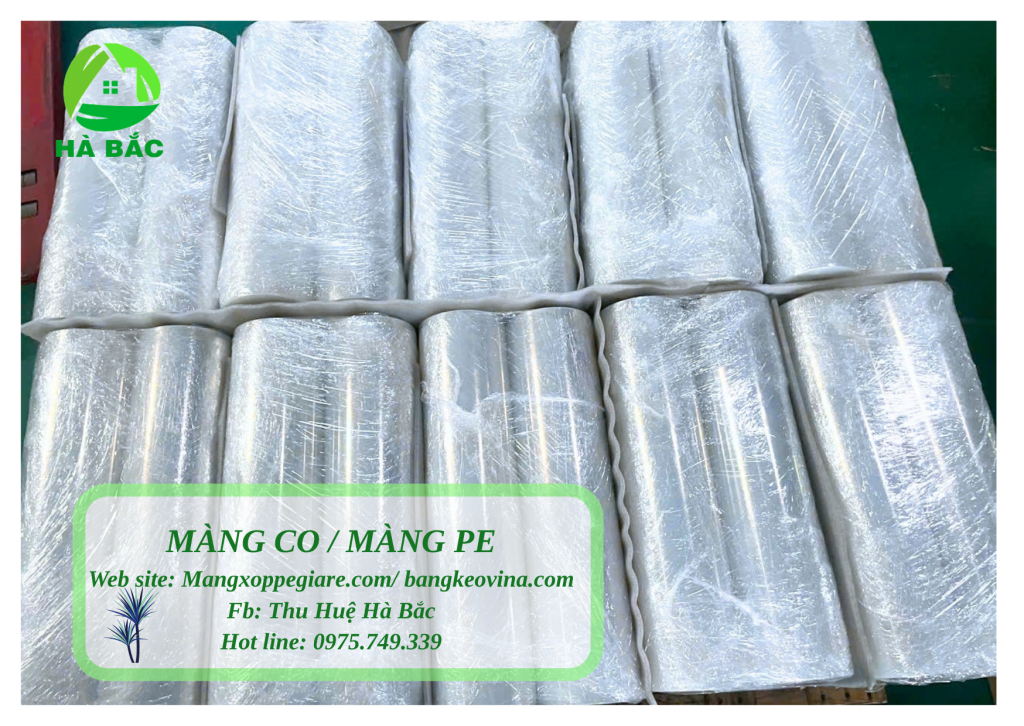 màng PE khổ nhỏ Tây Ninh