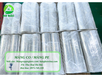 màng PE khổ nhỏ Tây Ninh