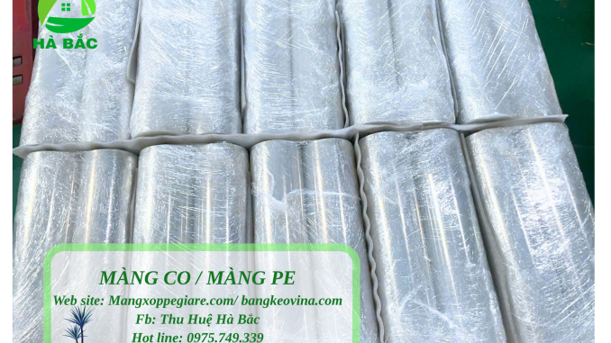 màng PE khổ nhỏ Tây Ninh