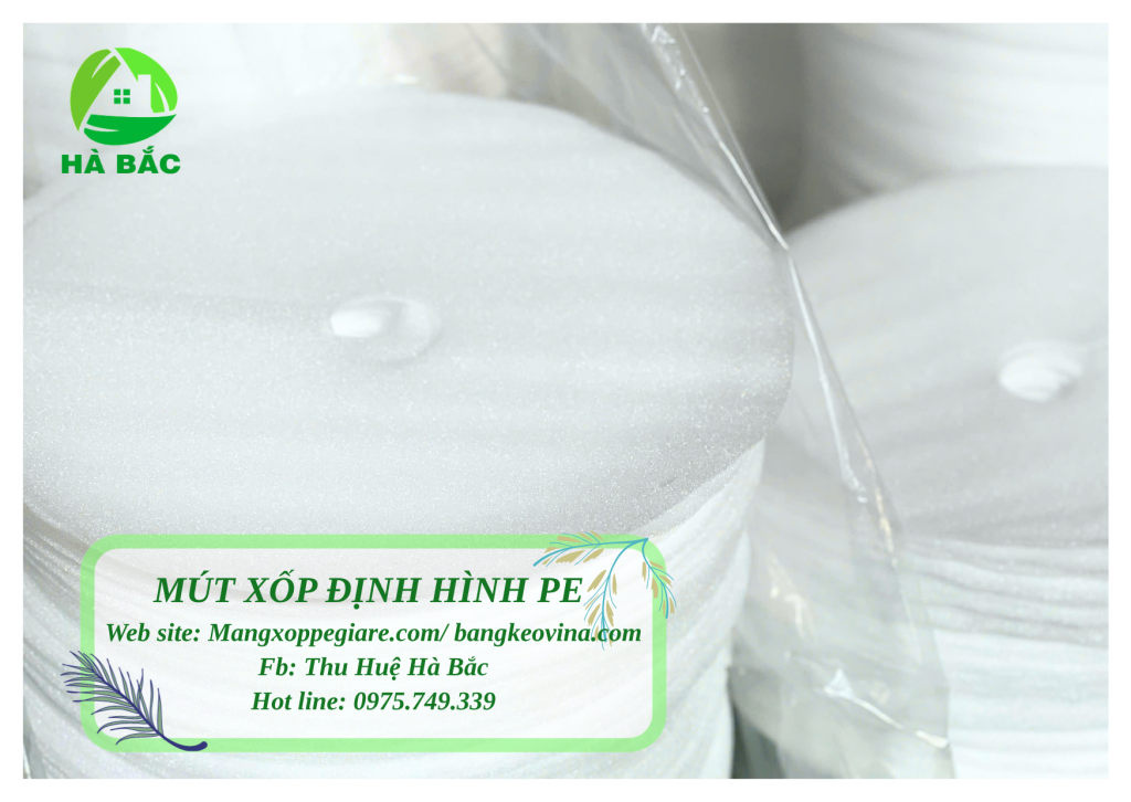khay foam theo mẫu Phú Yên
