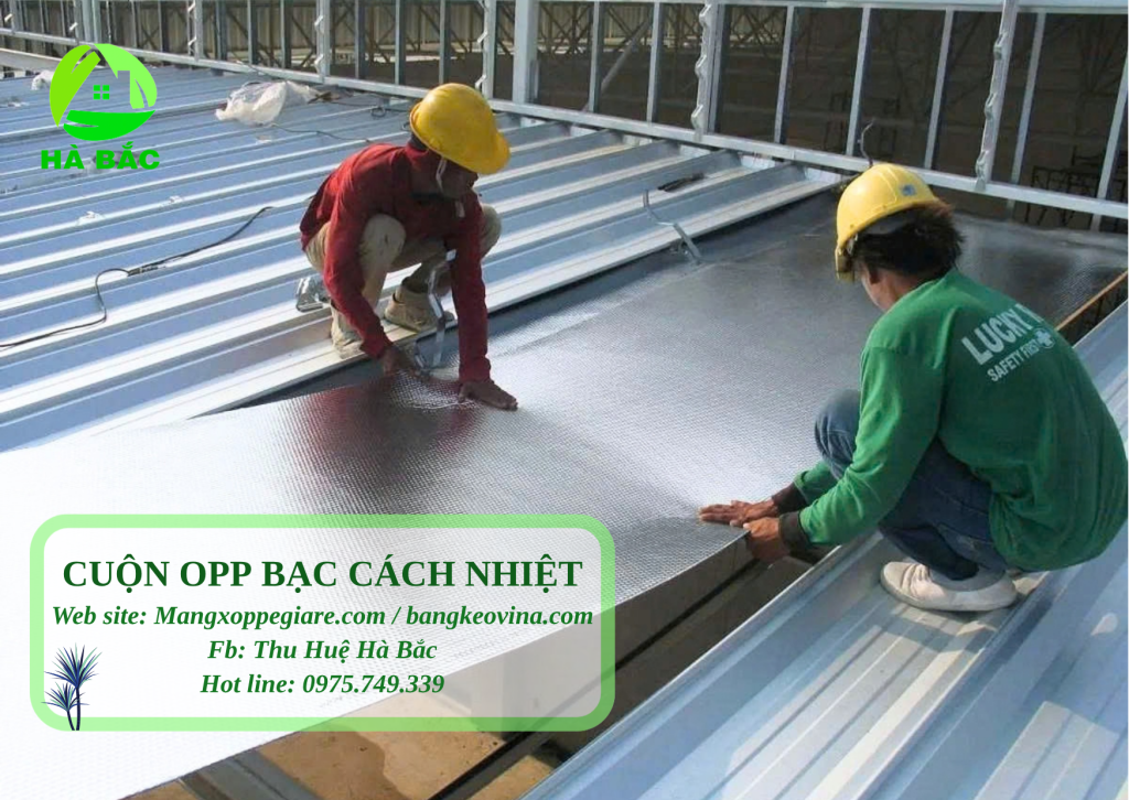 bố trí cuộn foam OPP bạc trên mái